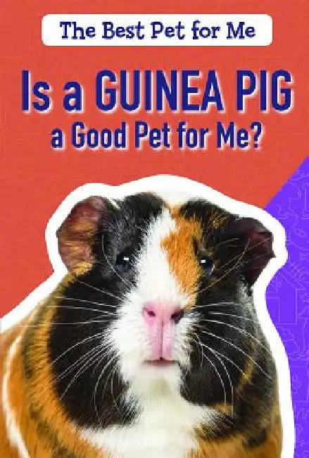 Is a Guinea Pig a Good Pet for Me? by Hannah Fields