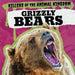 Grizzly Bears by Theresa Emminizer