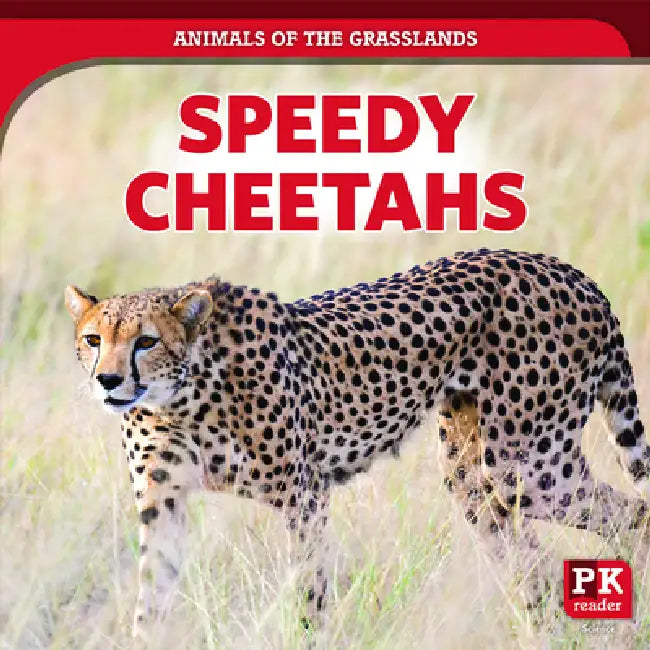 Speedy Cheetahs by Theresa Emminizer