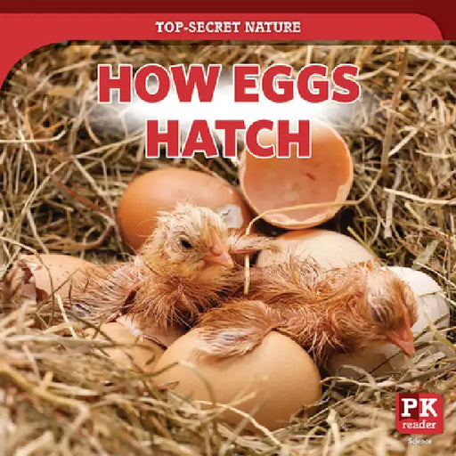 How Eggs Hatch by Marie Rogers