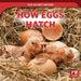 How Eggs Hatch by Marie Rogers