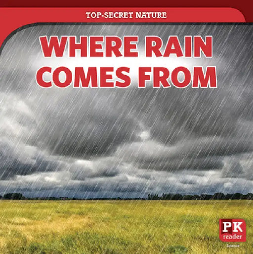 Where Rain Comes from by Marie Rogers