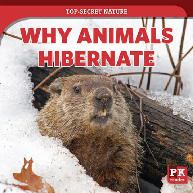 Why Animals Hibernate by Marie Rogers