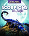 Scorpions at Night by Kathleen A. Klatte