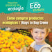 Cómo Comprar Productos Ecológicos / Ways to Buy Green by Sol90 Editors, Diana Osorio