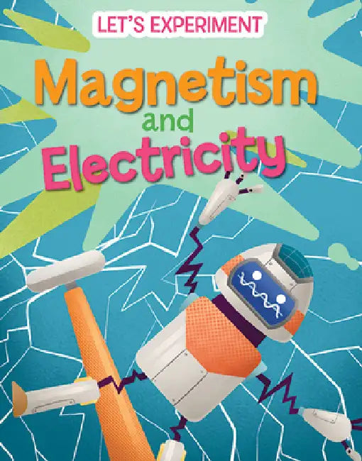 Magnetism and Electricity by Mattia Crivellini, Rossella Trionfetti