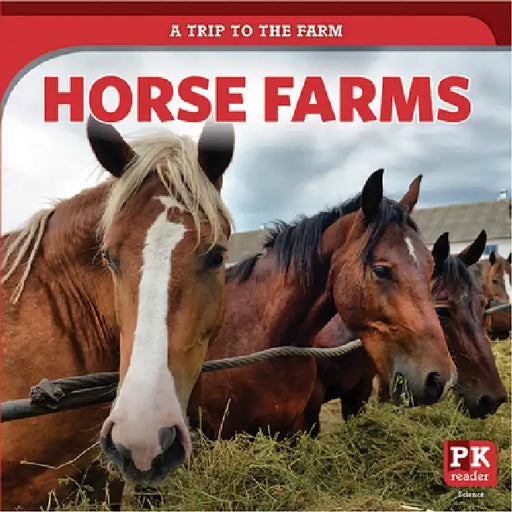 Horse Farms by Ursula Pang