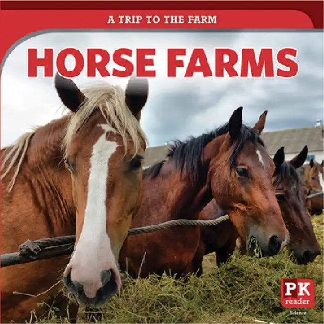 Horse Farms by Ursula Pang
