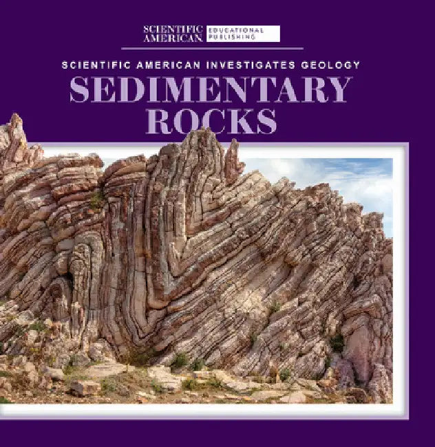 Sedimentary Rocks by Taron Longoria