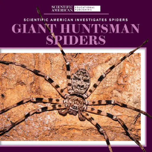 Giant Huntsman Spiders by Roxanne Aldolpho