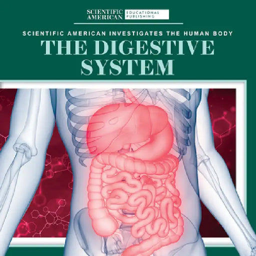 The Digestive System by Leigh McClure