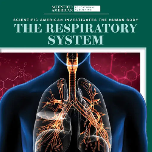 The Respiratory System by Leigh McClure