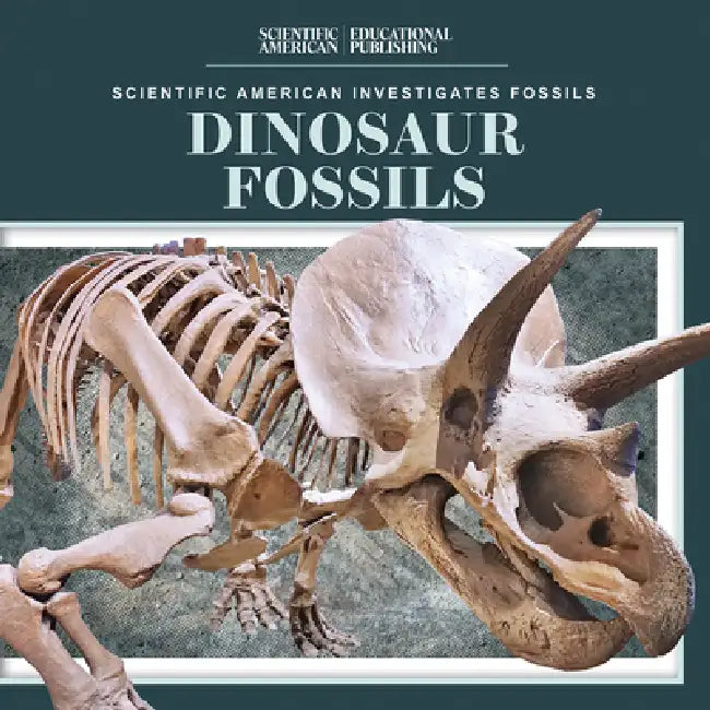 Dinosaur Fossils by Natalie Humphrey