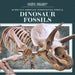 Dinosaur Fossils by Natalie Humphrey