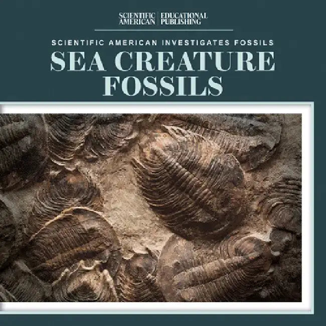 Sea Creature Fossils by Natalie Humphrey