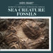 Sea Creature Fossils by Natalie Humphrey