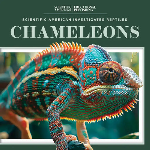 Chameleons by Jagger Youssef