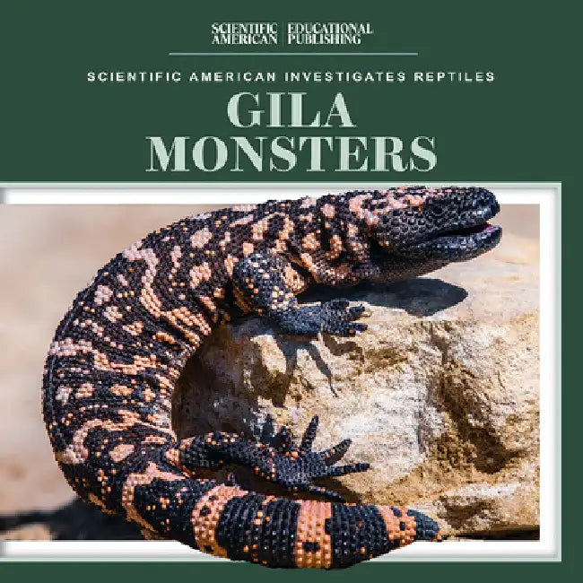 Gila Monsters by Jagger Youssef