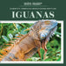 Iguanas by Jagger Youssef