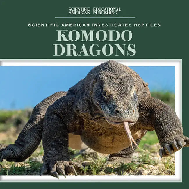 Komodo Dragons by Jagger Youssef