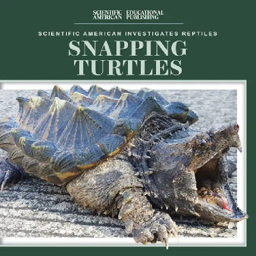 Snapping Turtles by Jagger Youssef