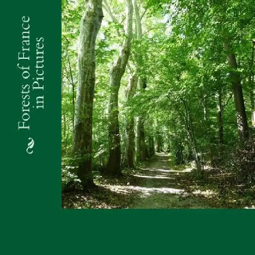 Forests of France in Pictures: A text-free picture book for Alzheimer's, Seniors, Children by Joanne Schleusner
