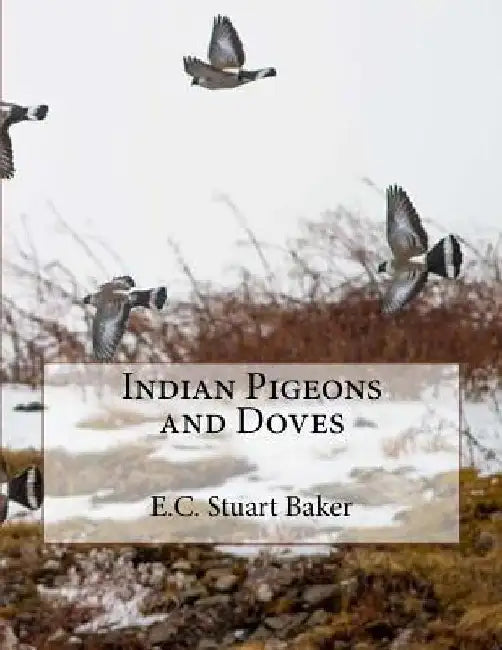 Indian Pigeons and Doves by Jackson Chambers