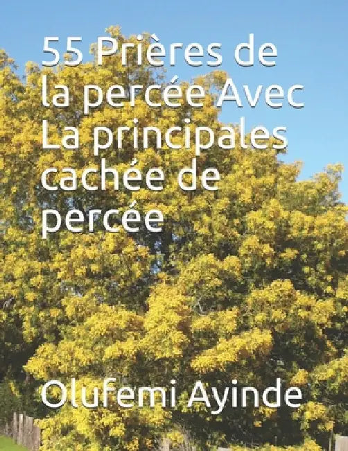 55 Prières de la percée Avec La principales cachée de percée by Ayinde, Olufemi