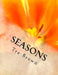 Seasons by Tre Brown