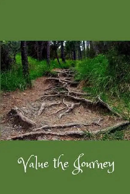Value the Journey by Nicole Marie Williams