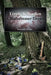 Lizzie A. Borden: A Midsummer Dream by Richard O'Dette
