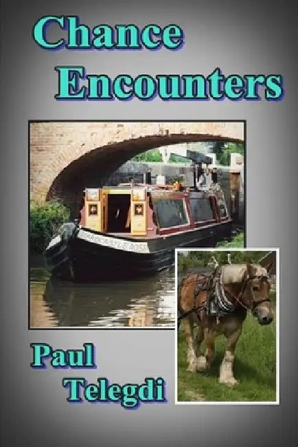 Chance Encounters by Melanie Telegdi