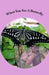 When You See A Butterfly by Barbara Travis