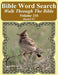 Bible Word Search Walk Through The Bible Volume 116: Daniel #2 Extra Large Print by T. W. Pope