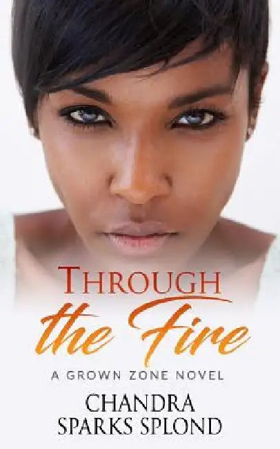 Through the Fire by Chandra Sparks Taylor