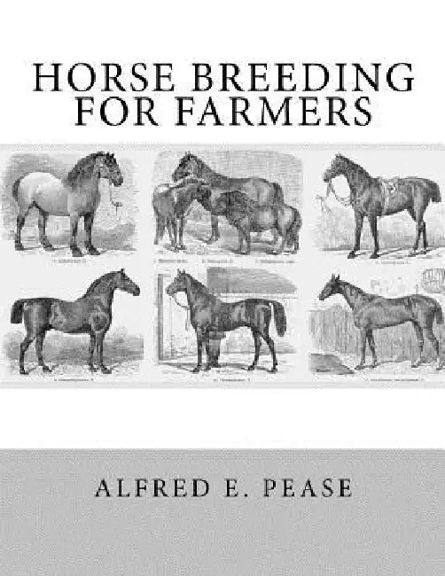 Horse Breeding For Farmers by Jackson Chambers