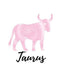 Taurus: Taurus Cornell Notes by My Astrology Journals