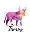 Taurus: Taurus Cornell Notes by My Astrology Journals