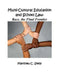 Multicultural Education and School Law: Race, The Final Frontier by Matthew C. Stelly