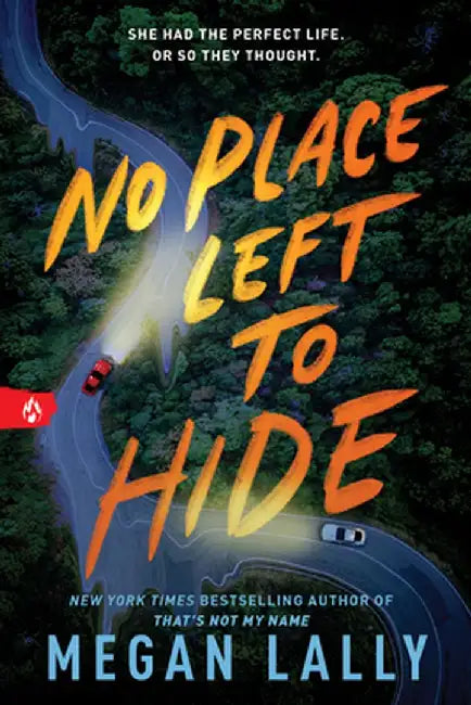 No Place Left to Hide by Megan Lally