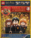 Lego(r) Harry Potter(tm) Magical Year at Hogwarts by Ameet Sp Z O O