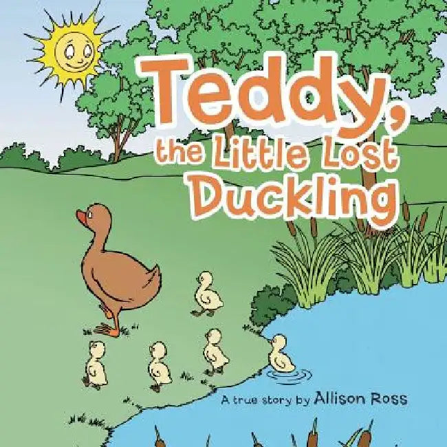 Teddy, the Little Lost Duckling by Allison Ross