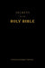 Secrets of the Holy Bible: Untold Hidden Truths by John Terpstra