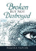 Broken but Not Destroyed by Pamela Taplin