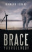 Brace Yourselves! by Richard Sloane