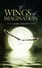 The Wings of Imagination by Ahmed Ghanim