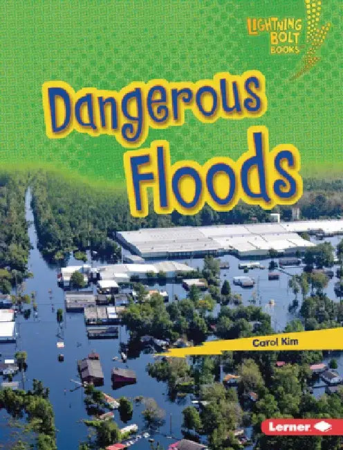 Dangerous Floods by Carol Kim