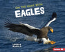 On the Hunt with Eagles by Sandra Markle