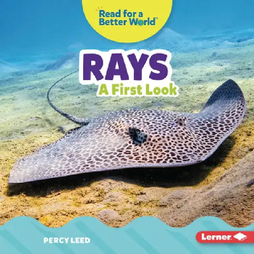Rays: A First Look by Percy Leed