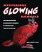 Mysterious Glowing Mammals: An Unexpected Discovery Sparks a Scientific Investigation by Maria Parrott-Ryan